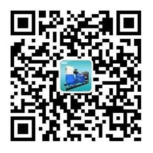 Weifang Ronsun Power Technology Co., Ltd.（www.ronsunpower.com）