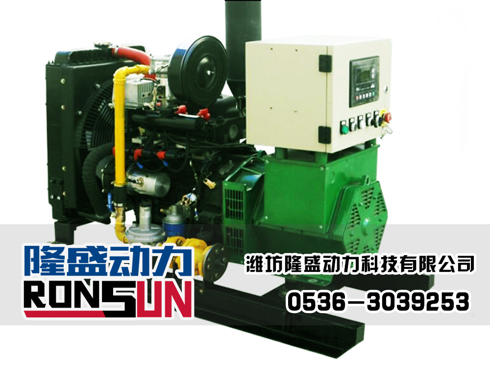 10KW Biogas Generator