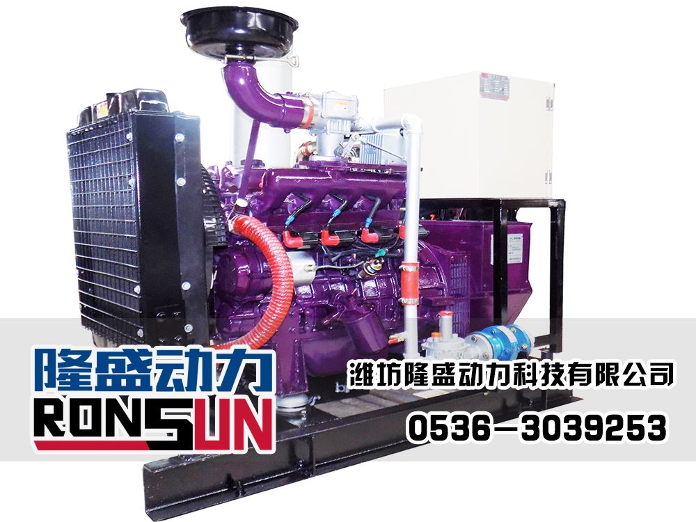 20KW LPG Generator