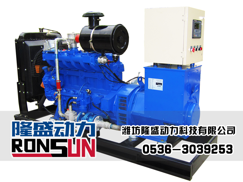 40KW LPG Generator