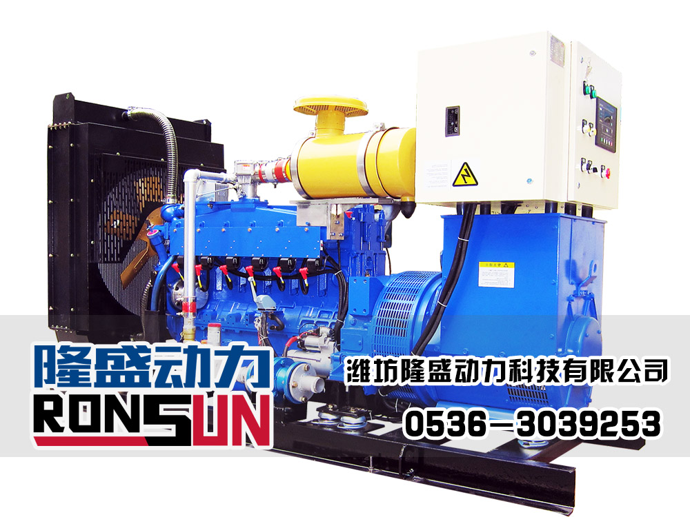 60KW Biomass Generator