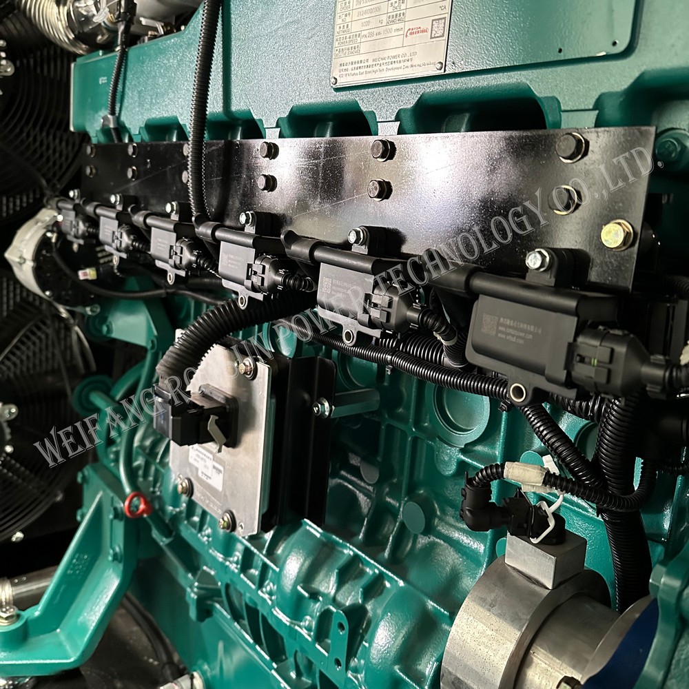 250kW 312.5kVA Natural Gas Generator Set