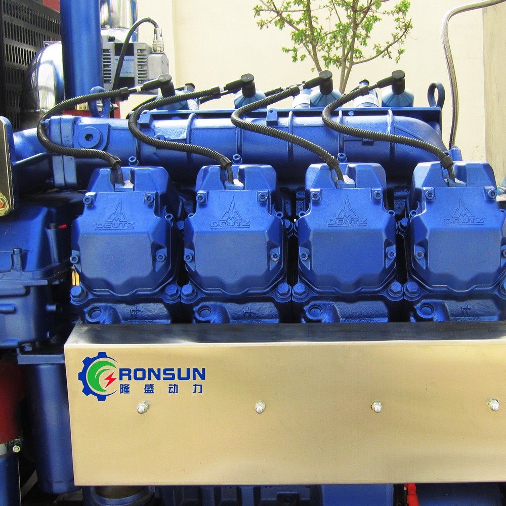 250kW 312.5kVA Biogas Generator Set