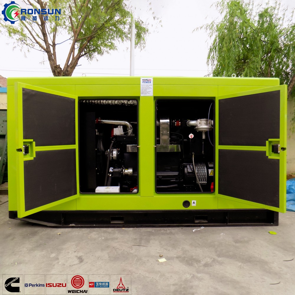 50kW 62.5kVA Biogas Generator Set