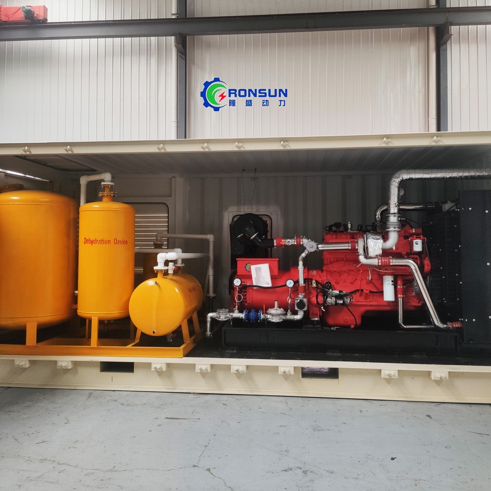 200kW 250kVA Biogas Generator Set