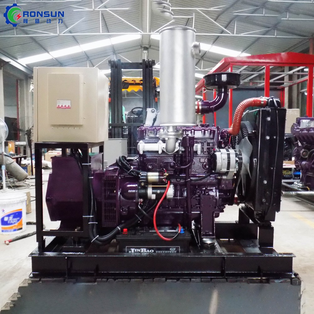 30kW 37.5kVA Biogas Generator Set