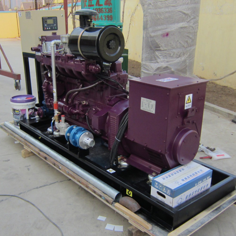 40kW 50kVA Biogas Generator Set