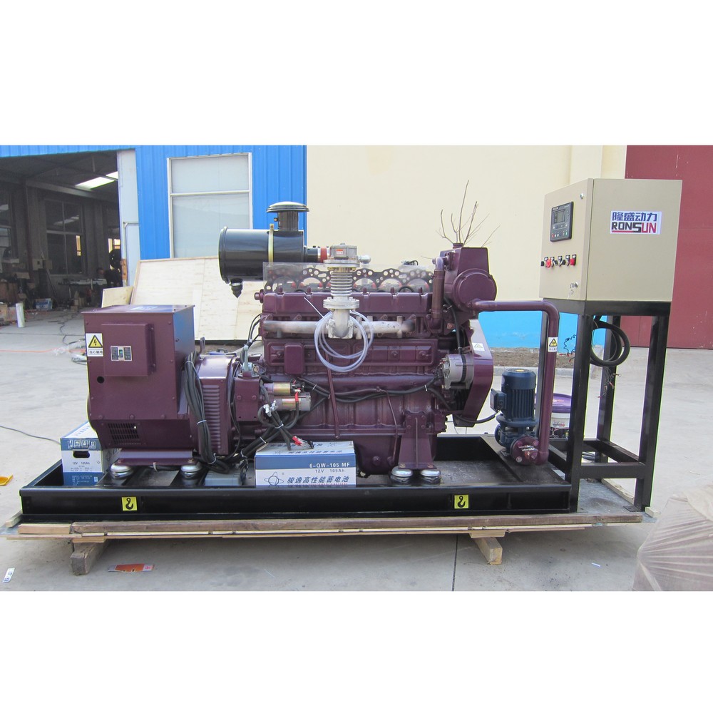 40kW 50kVA Biogas Generator Set