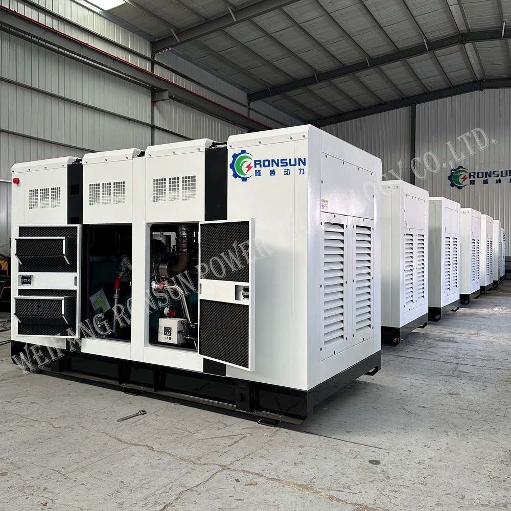 250kW 312.5kVA Natural Gas Generator Set