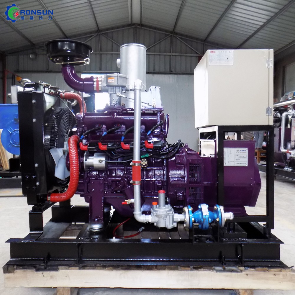 30kW 37.5kVA Biogas Generator Set