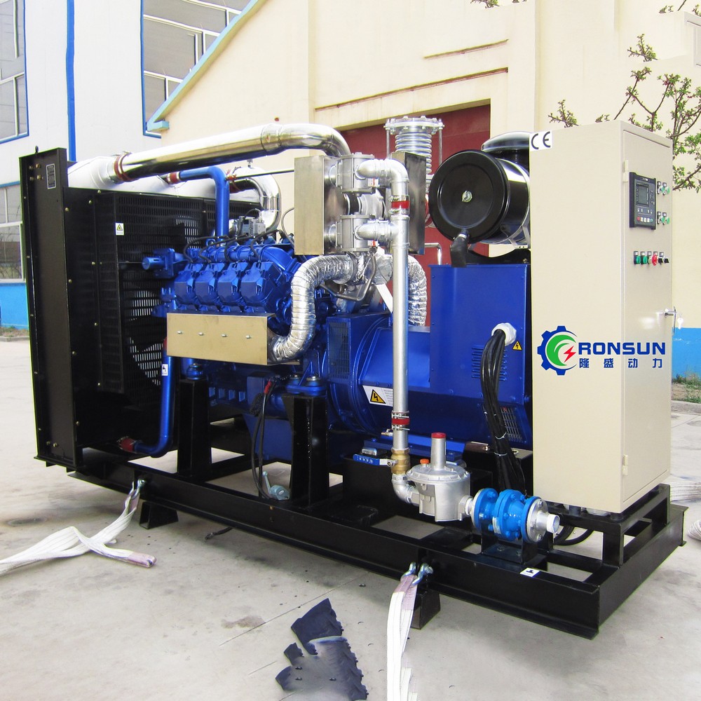 250kW 312.5kVA Biogas Generator Set