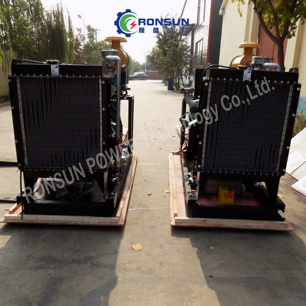 30kW 37.5kVA LPG Generator Set