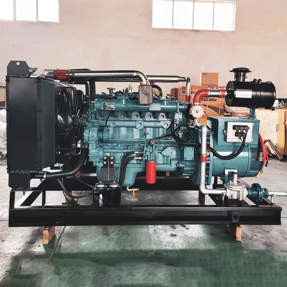 80kW 100kVA LPG Generator Set