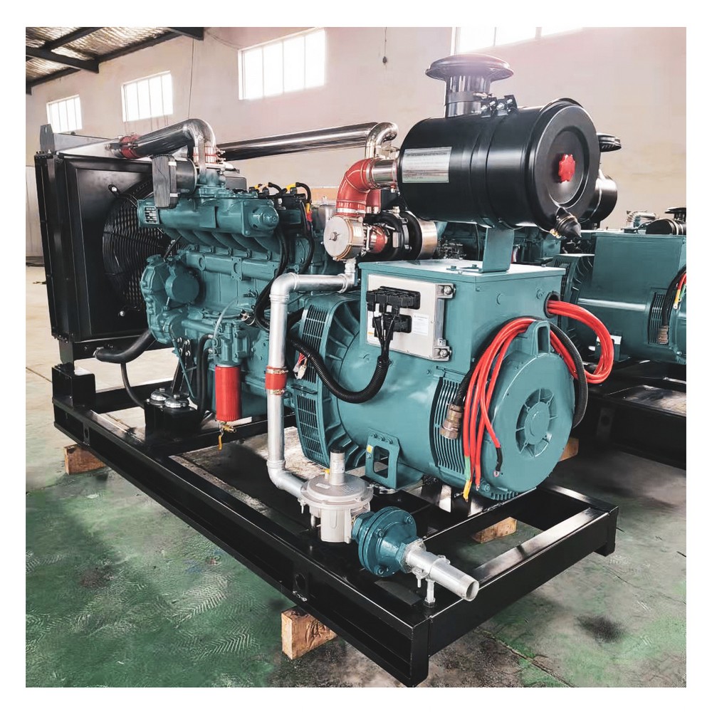 80kW 100kVA LPG Generator Set