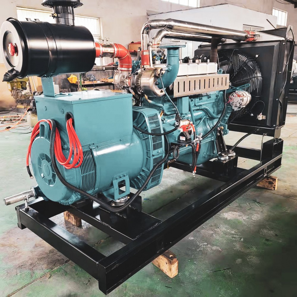 80kW 100kVA LPG Generator Set