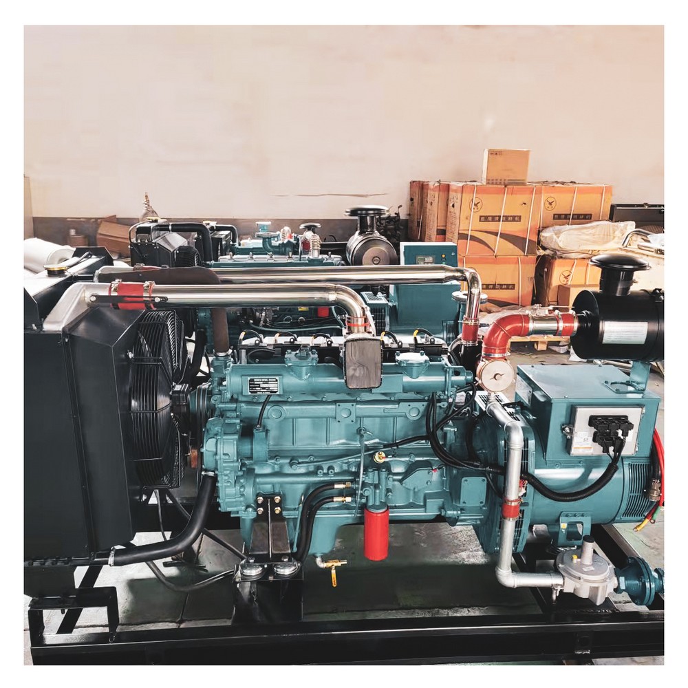80kW 100kVA LPG Generator Set