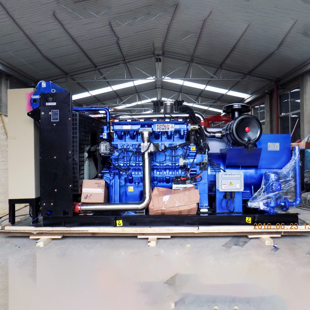 200kW 250kVA Biomass Generator Set