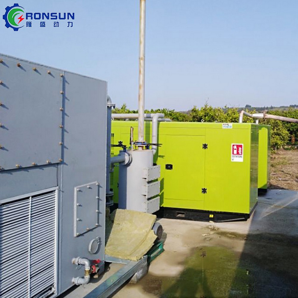 100kW 125kVA Biomass Generator Set