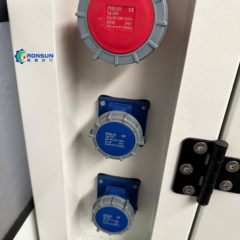 150kW 187.5kVA Biomass Generator Set